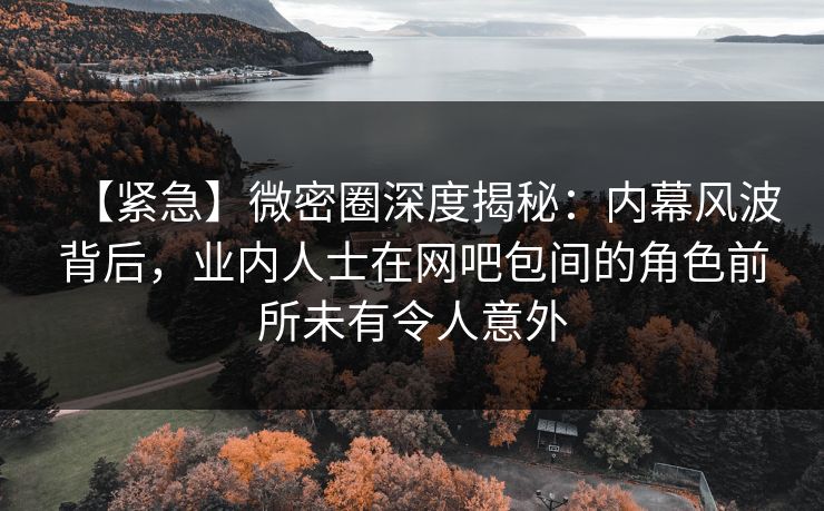 【紧急】微密圈深度揭秘：内幕风波背后，业内人士在网吧包间的角色前所未有令人意外